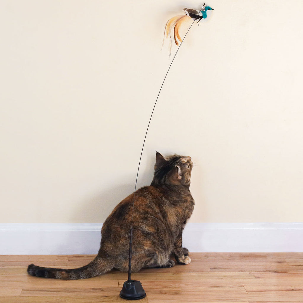 Catnip Bird Attachments (Interactive Catnip Bird Toy)