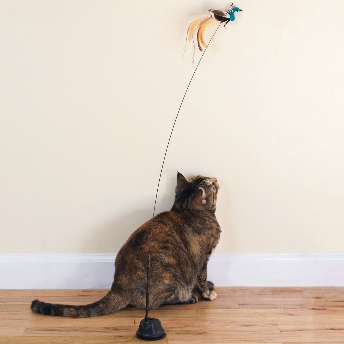 Catnip Bird Attachments (Interactive Catnip Bird Toy)