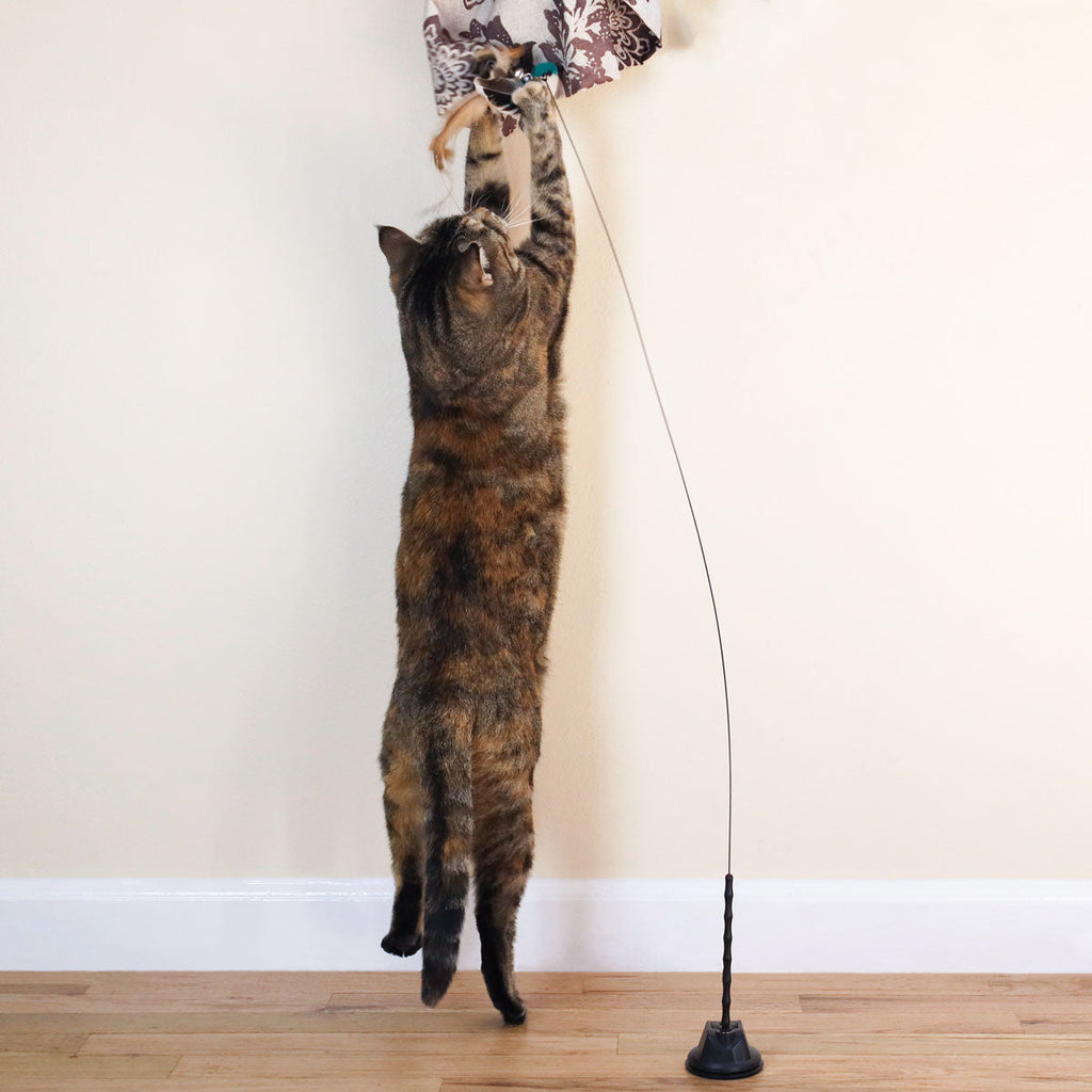 Catnip Bird Attachments (Interactive Catnip Bird Toy)