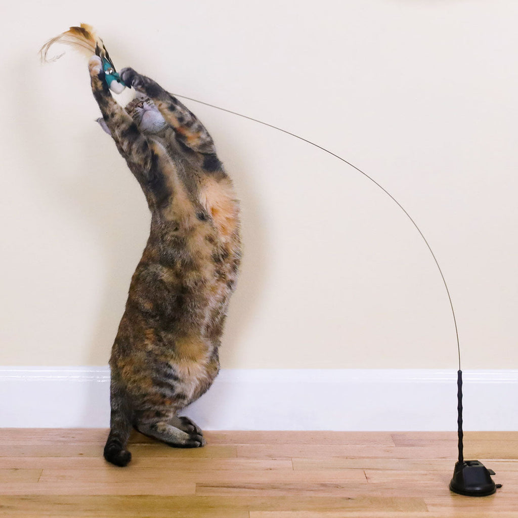 Catnip Bird Attachments (Interactive Catnip Bird Toy)