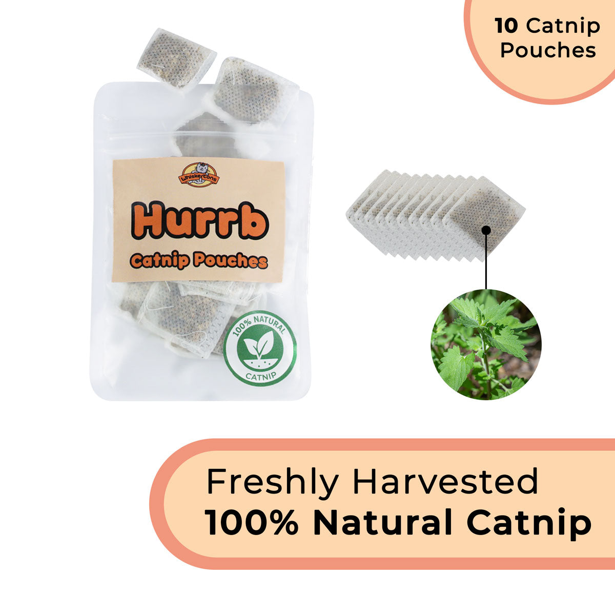 Catnip Bird Attachments (Interactive Catnip Bird Toy)