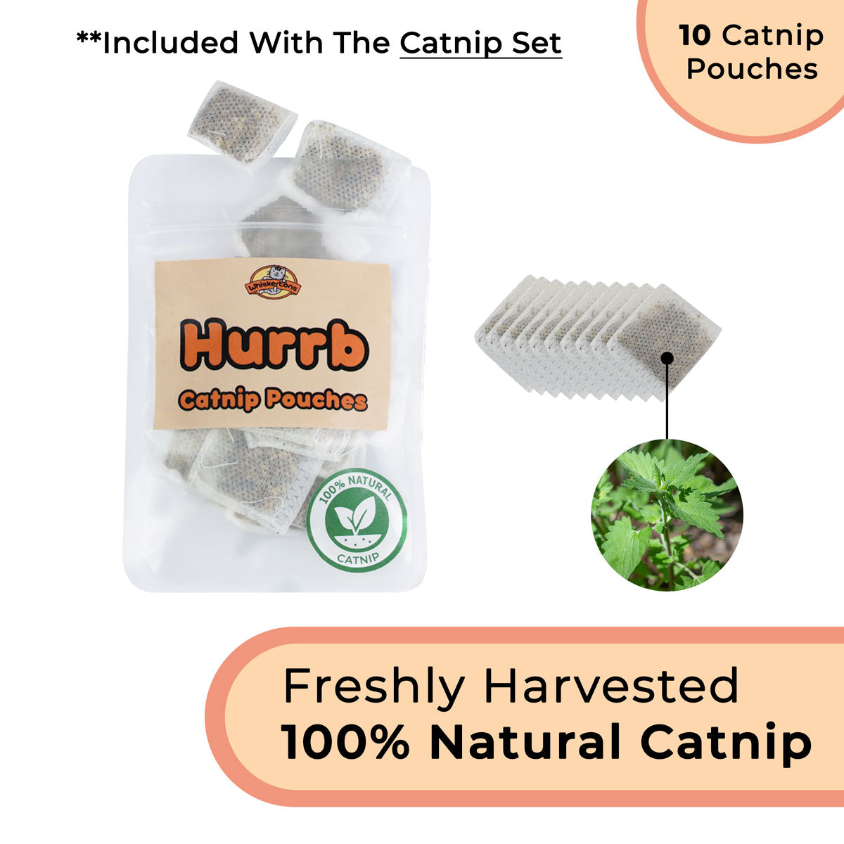 Interactive Bird Simulation Cat Toy Set (Chirping Edition)
