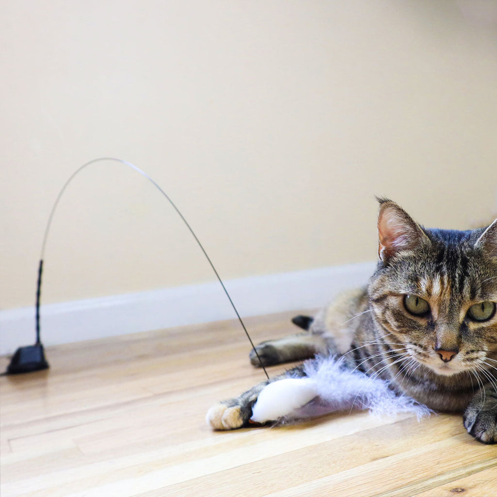 Bird Attachments (Interactive Bird Simulation Cat Toy)